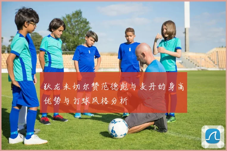 狄龙米切尔赞范德彪与麦丹的身高优势与打球风格分析
