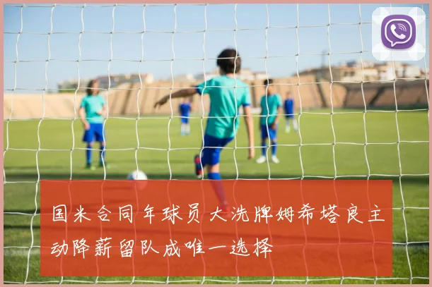 国米合同年球员大洗牌姆希塔良主动降薪留队成唯一选择